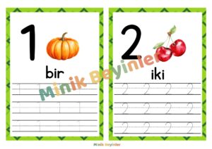 sayı kartları