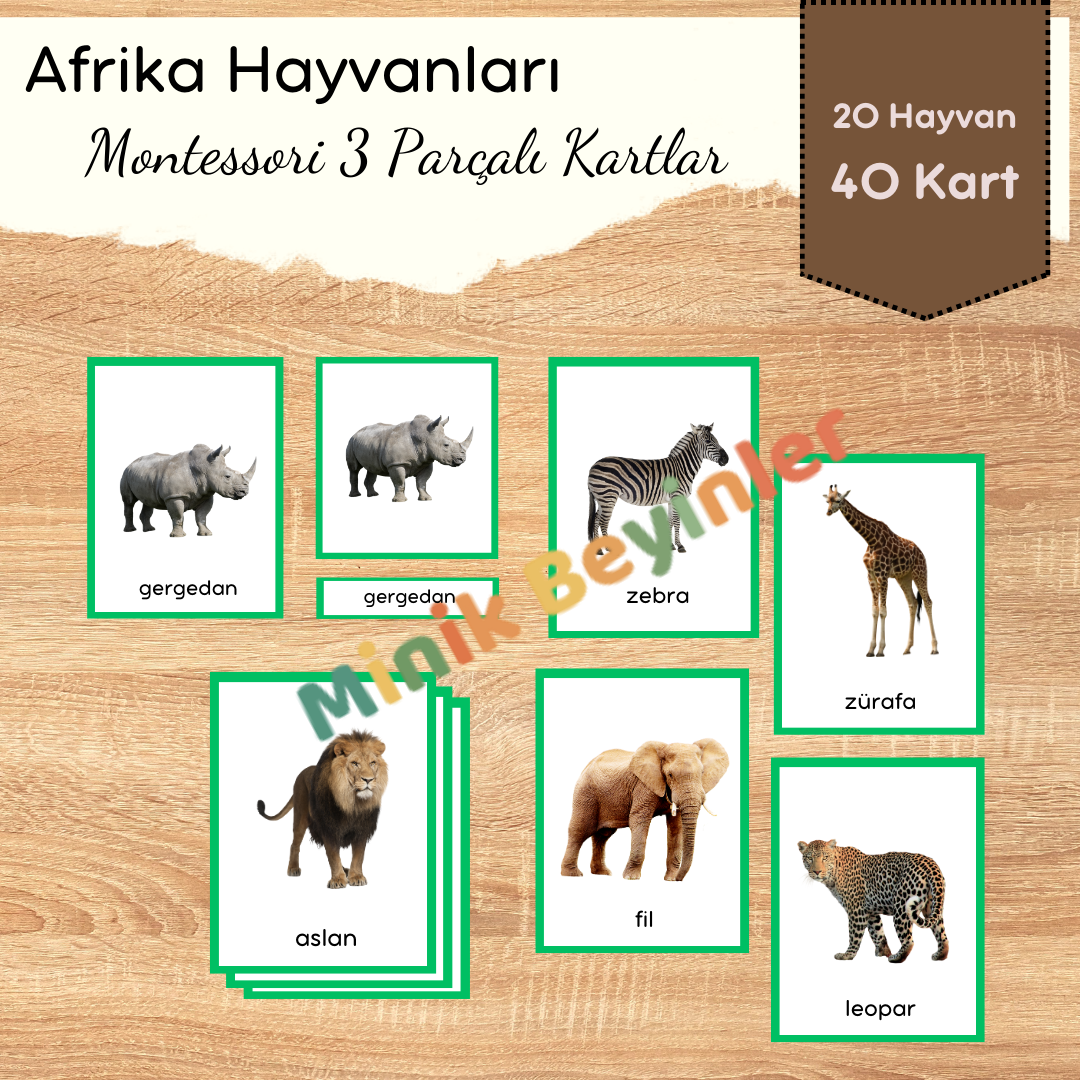 Afrika Hayvanları – Montessori 3 Parçalı Kartlar
