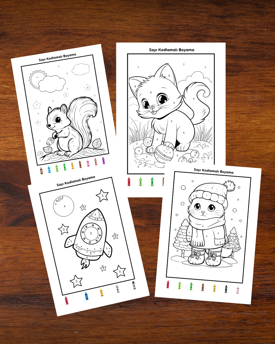 Sayı Kodlamalı Boyama