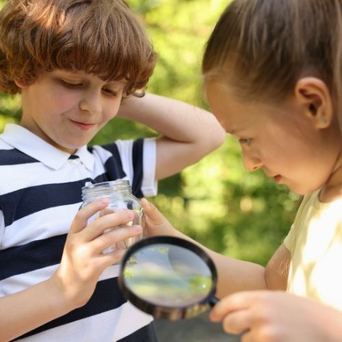 DOĞA VE TOPLUM BİLİNCİ