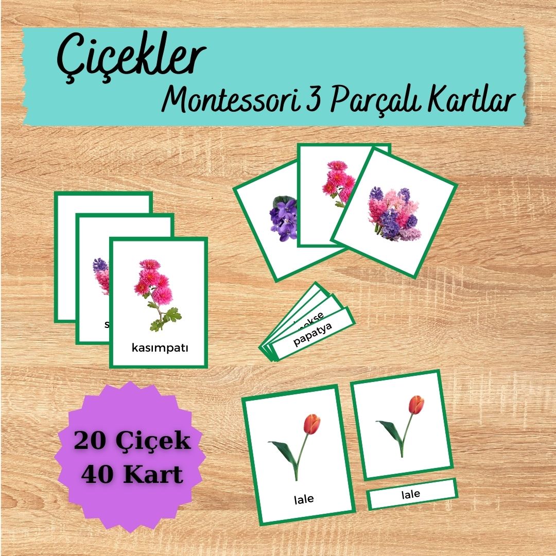 Montessori Çiçekler 3 Parçalı Kartlar