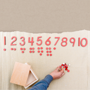 montessori sayma pulları
