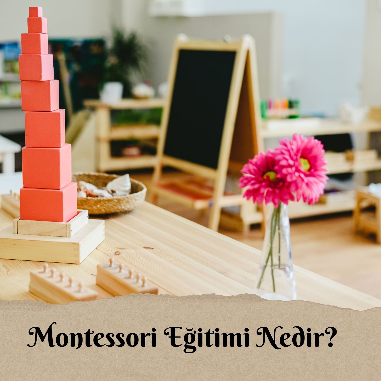 MONTESSORİ EĞİTİMİ NEDİR?